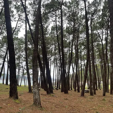 Grupo Gontad Cordobes, Ponteceso