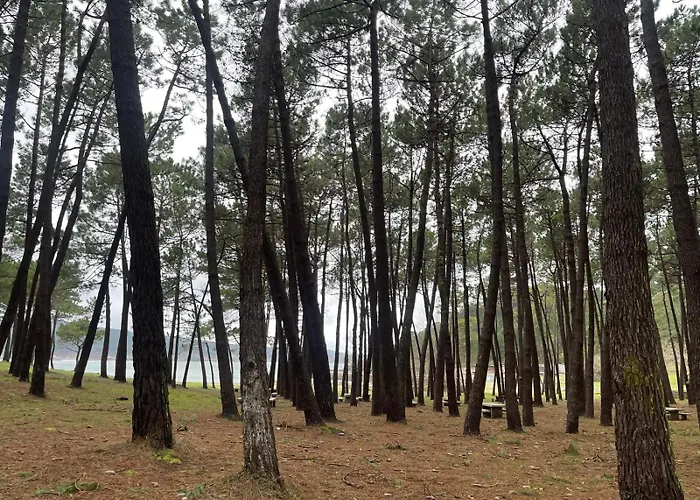 Grupo Gontad Cordobes, Ponteceso